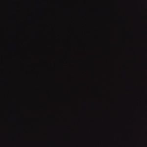 Meet your Posher, Hayden